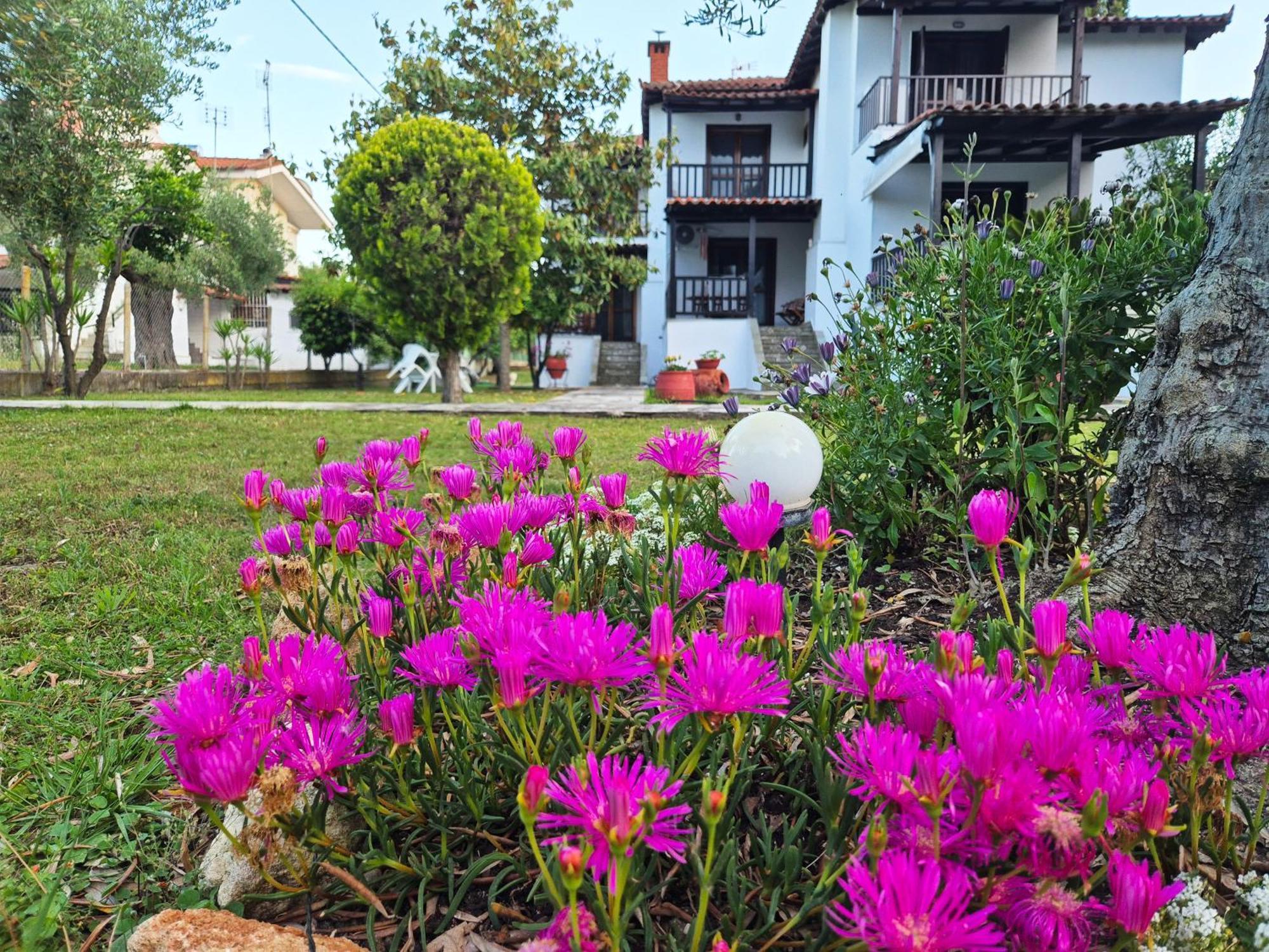 GeoVilla Green&Blue - Pefkochori Exterior foto