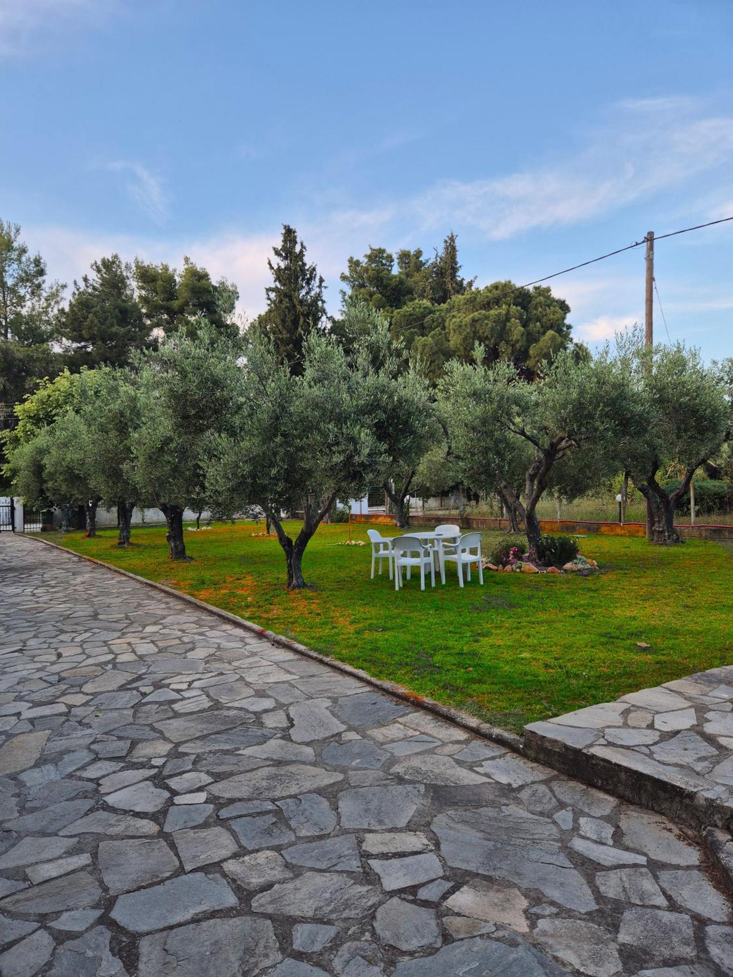 GeoVilla Green&Blue - Pefkochori Exterior foto